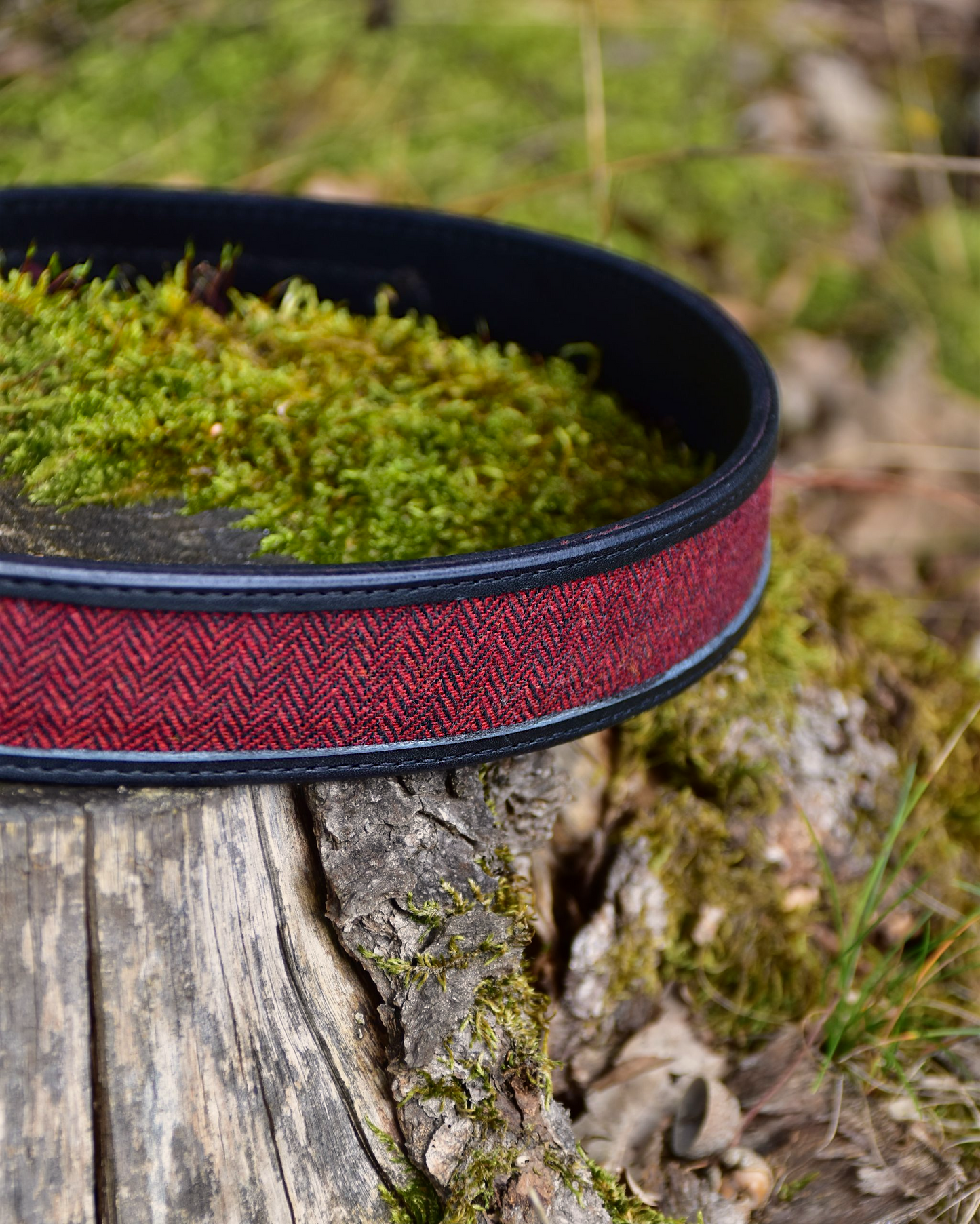 Ledergürtel "John" mit rotem Tweed